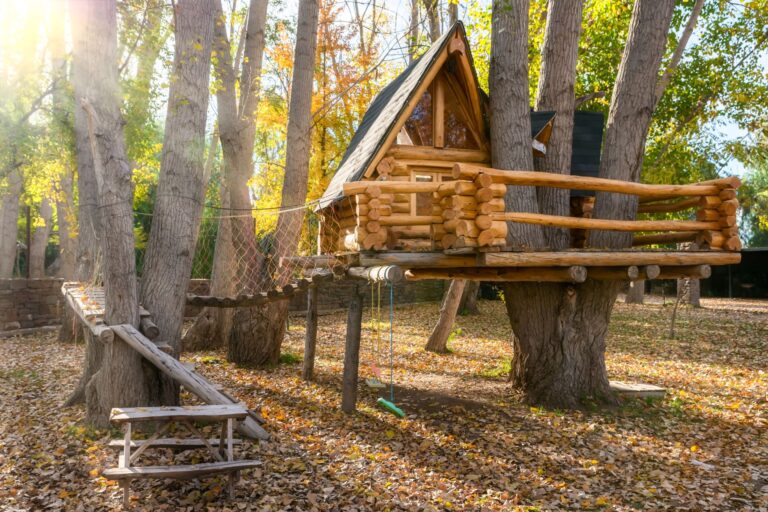 Tree House surrounded by forest in Utrechtse Heuvelrug National Park