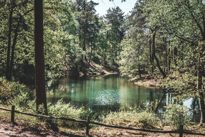 Forest Lake Utrechtse Heuvelrug